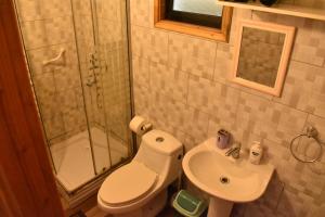 Un baño con ducha, inodoro y lavabo. en Cabañas Mister Nelson, en Valdivia 35 fotos más