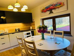 Køkken eller tekøkken på Rezydencja Sudecka