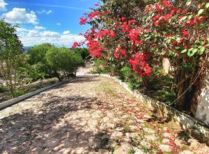 Fotografie z fotogalerie ubytování Pousada sete montanhas v destinaci Ibicoara