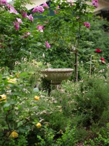 a garden with flowers and a stone bird bath at Birdsland Suite in Belgrave Heights +13 photos