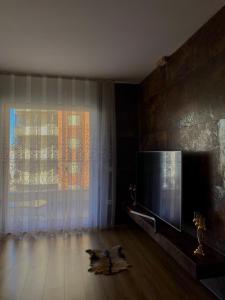 Et tv og/eller underholdning på City View Luxury Apartment