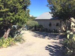 a driveway leading to a white building with trees at La Casita in Concan
