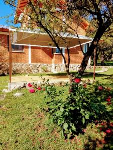 Rincón Soñado في لاس رابوناس: حوش مع زهور حمراء أمام مبنى