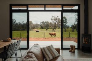 a living room with a view of a cow through a window at 8 Paddocks Chalet Two in Cowaramup