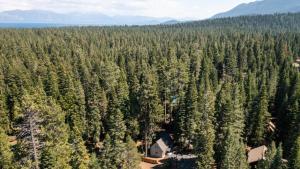 Sweet Pine Deck Hot Tub Cozy Modern Interior Close to Ski Resort في Pomins: اطلالة جوية على غابة من الاشجار