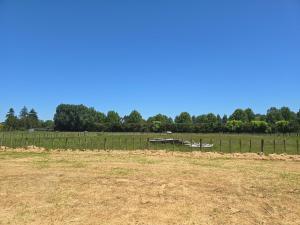 Příroda nedaleko kempu + 5 fotografií