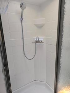 a shower with a shower head in a bathroom at Clamping Caravan in Whanganui +5 photos