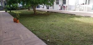 a grass yard with a tree and a building at Casa em Condomíinio Centro BC in Balneário Camboriú