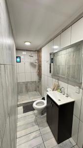 a bathroom with a toilet and a sink and a shower at Alojamiento Napoleon in Puerto Iguazú