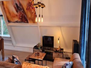 Μια τηλεόραση ή/και κέντρο ψυχαγωγίας στο Cozy Ardennes Chalet near Durbuy