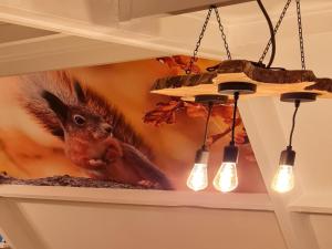 Φωτογραφία από το άλμπουμ του Cozy Ardennes Chalet near Durbuy σε Septon