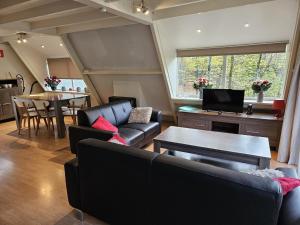 Μια τηλεόραση ή/και κέντρο ψυχαγωγίας στο Serene Vacation Chalet in Durbuy