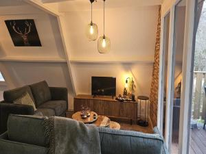 TV a/nebo společenská místnost v ubytování Fenced Country Chalet in Durbuy