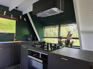 Η κουζίνα ή μικρή κουζίνα στο Contemporary Ardennes Chalet in Durbuy +5 φωτογραφίες