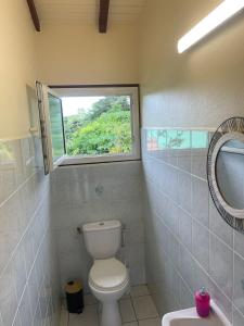 a bathroom with a toilet and a window at Villa Jakéna à Sainte-Rose in Sainte-Rose +7 photos