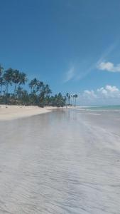 een zandstrand met palmbomen en de oceaan bij Max Suites block A, apartment 002 in Praia dos Carneiros