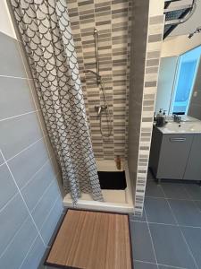 een badkamer met een douche met een douchegordijn bij Maison entière avec jardin , Proche Bordeaux, Rocade et Arkéa Arena in Bouliac