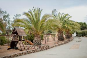 a park with palm trees and a playground at Tierra Mia Hacienda Ruta del Vino in Valle de Guadalupe