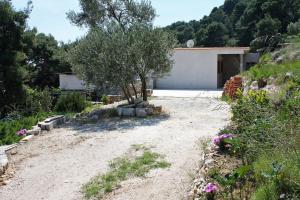 Zahrada ubytování Apartment Saplunara 4923b