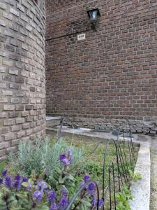 Zahrada ubytování Departamento Las Lavandas