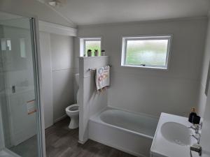 a bathroom with a shower and a toilet and a sink at Accessible Respite House in Whangarei +7 photos