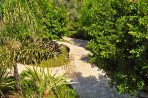 ゲラニにあるGerani Private Villaの木々や植物が植えられた庭の小道