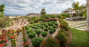 um jardim com plantas e flores num quintal em Palmaritos 6 em El Tule