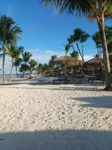 a beach with tables and straw umbrellas and palm trees at Rolando share apart in Punta Cana