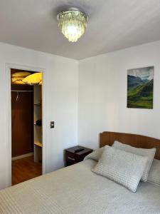 a bedroom with a bed and a chandelier at Departamento Santiago Centro Full Equipado in Santiago +102 photos