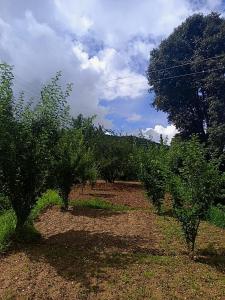 Zahrada ubytování A Home Above the Clouds Riturain Mukteshwar