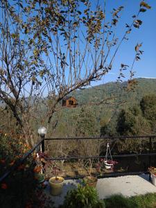 Příroda nedaleko ubytování v soukromí