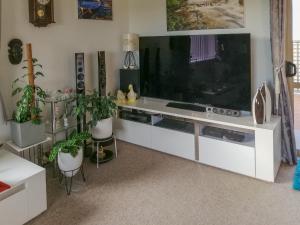 Relaxing home from home في إنفيركارجِِيل: غرفة معيشة فيها تلفزيون كبير ونباتات