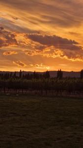 een zonsondergang boven een veld met bomen in een veld bij Cabaña Oliva - Privacidad frente a los viñedos in San Rafael +9 foto's