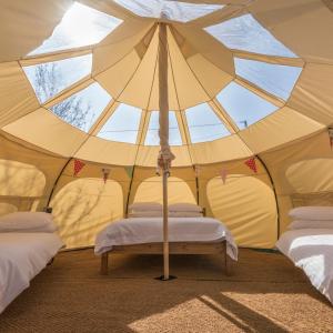 una grande tenda con due letti al centro di Oyama Lake Lodge a Lake Country