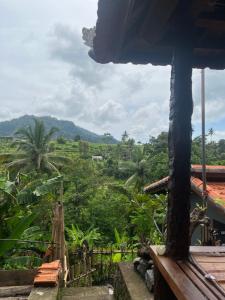 Blick vom Dach eines Hauses auf den Dschungel in der Unterkunft Wayan Bola Homestay in Sidemen