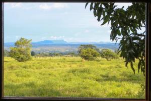 a field of green grass with trees in the distance at Finca hotel VillaLuna in Mesetas