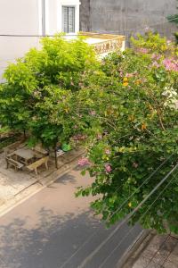 Zahrada ubytování Long Homestay Xuyên Á - Hotels