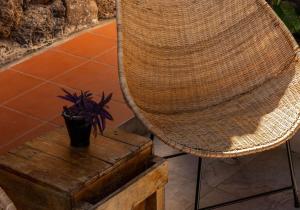 Foto de la galería de Hostel Pimampiro en Puerto Baquerizo Moreno