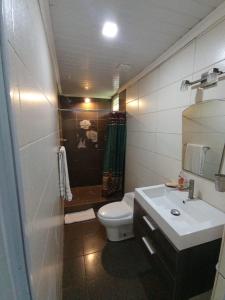 a bathroom with a toilet and a sink and a shower at Ecotropicfarmhouse in Cerro Azul +1 photo