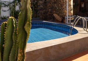 La pileta dentro o cerca de Hostel Pimampiro