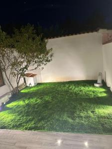 a green yard with a tree and a wall at Leyand exclusive House in Torre del Lago Puccini +5 photos
