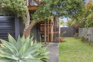 a house with a large plant in the yard at The Balcony - pet friendly! in Torquay