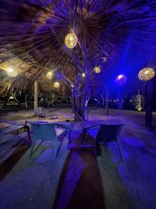 a pavilion with tables and a tree with lights at Puerto idilio beach resort in Isla Grande