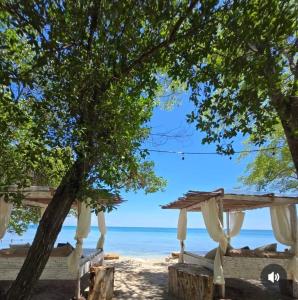 a view of the beach from under a pergola at Puerto idilio beach resort in Isla Grande