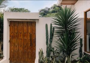una casa con una puerta de madera y una planta en Hotel Pimampiro, en Puerto Baquerizo Moreno