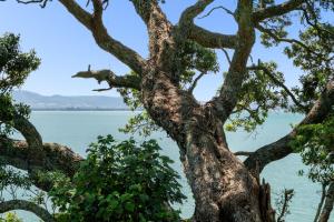 Peisaj natural din apropierea acestei case de vacanță