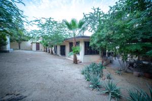 a house with a lot of trees in front of it at Large family house in Cabo , pet friendly in Cabo San Lucas