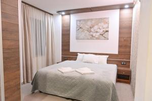 Hotel Rothmans-Breakfast - Free parking - Lobby في بانسكو: غرفة نوم بها سرير عليه منشفتان +209 صور