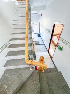 Φωτογραφία από το άλμπουμ του HOMESTAY PHÚC LŨY σε Cu Lao Thu