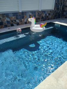 a pool with a unicorn toy in the water at Écrin d'évasion in Sainte-Anne